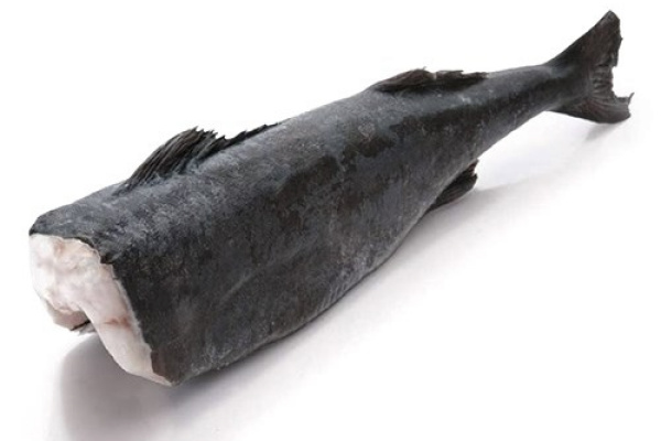 BLACK COD (bacalao negro) (congelado)