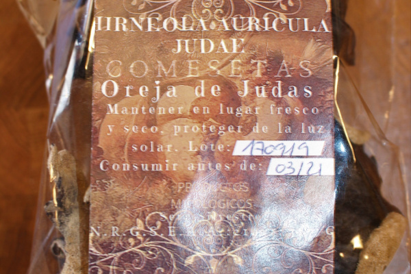 HIRNEOLA AURÍCULA JUDAE - OREJA DE JUDAS