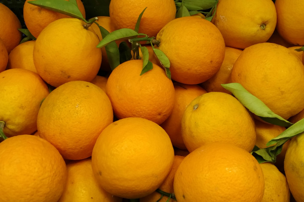 Naranja de soller