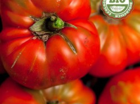 tomate ensalada 500grs