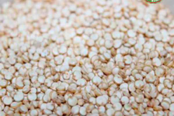 Quinoa Real (500gr)